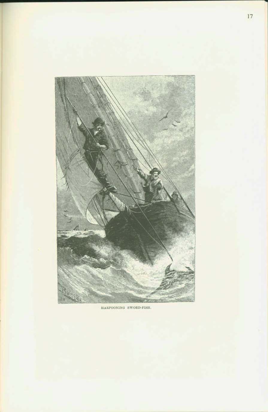 19th century whaling tales. vist0089g
